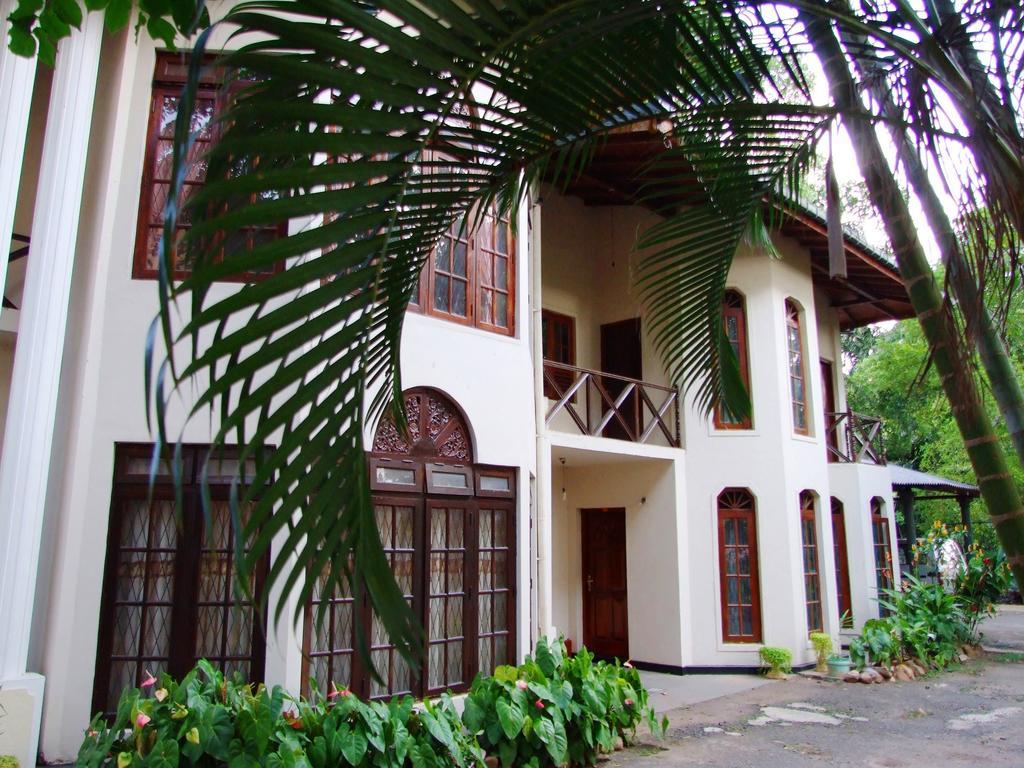 Tree Breeze Inn Kandy Exterior photo
