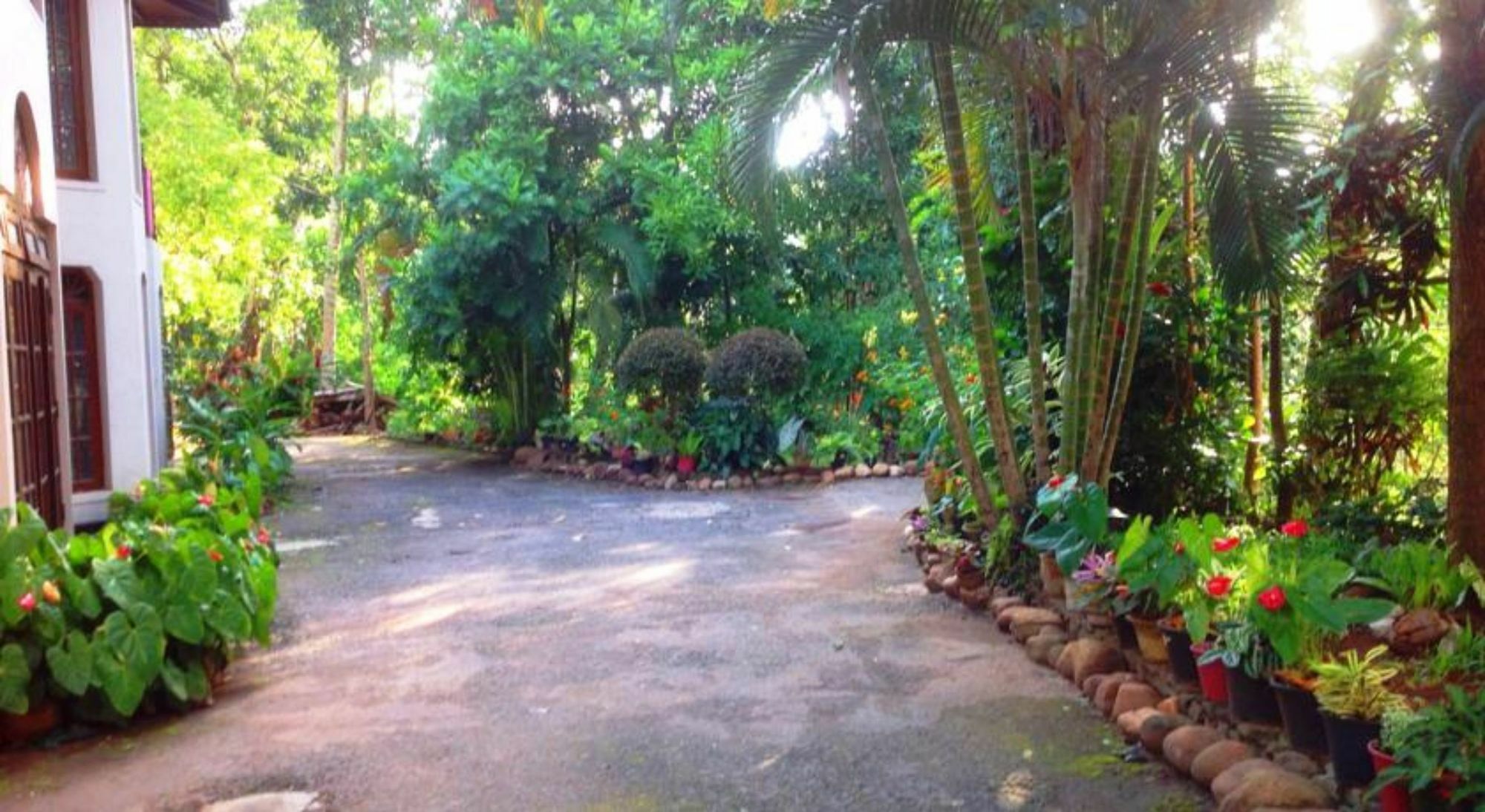 Tree Breeze Inn Kandy Exterior photo
