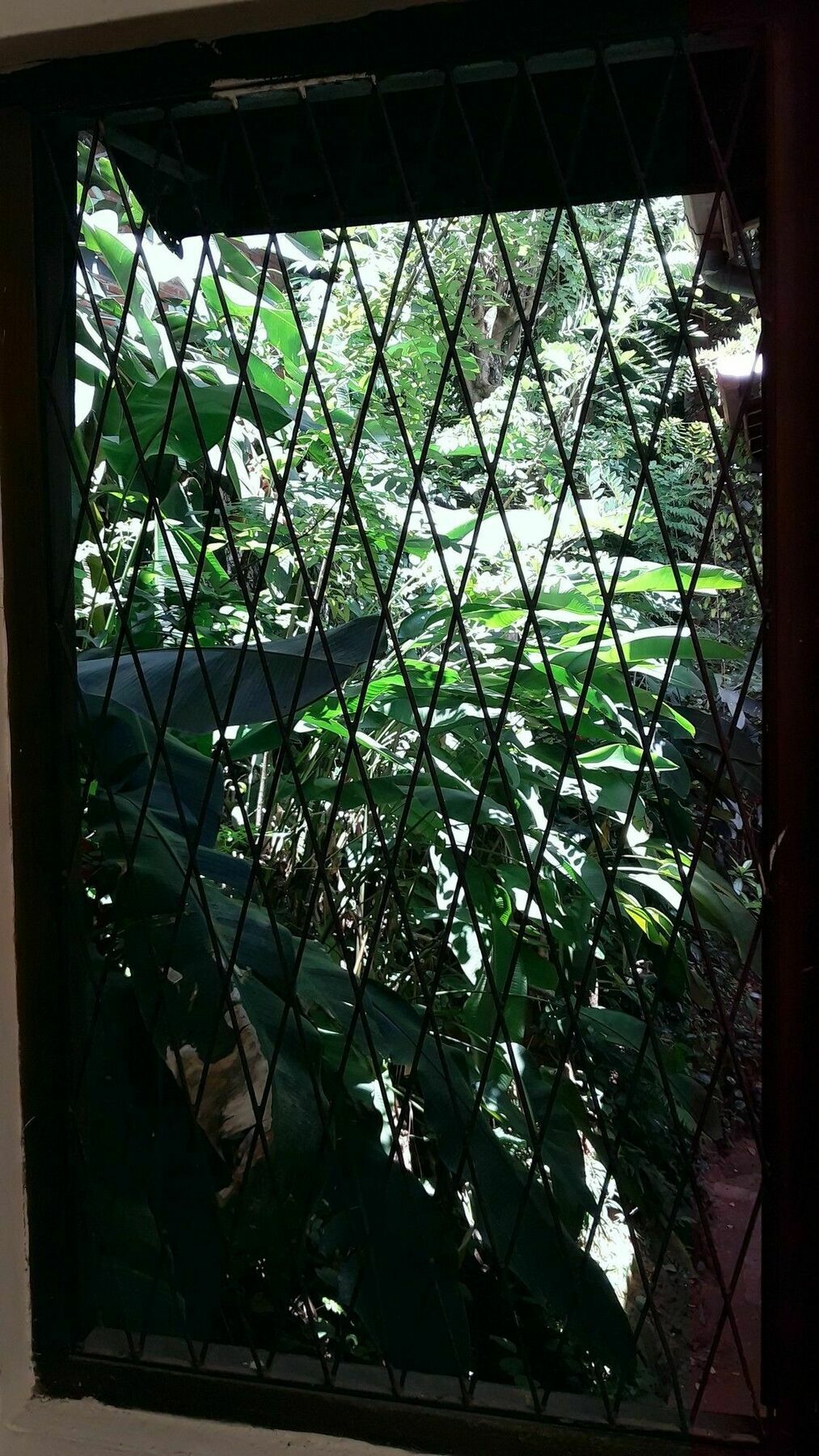 Tree Breeze Inn Kandy Exterior photo